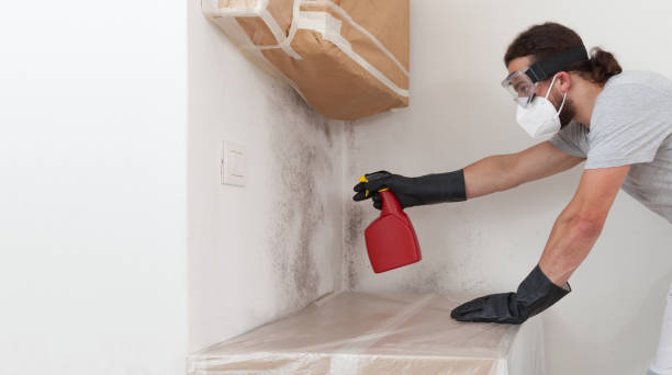 Professional Basement Mold Remediation technician working in Newton Upper Falls, MA