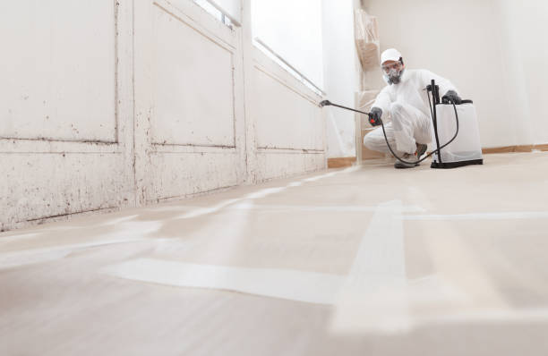 24/7 Emergency Basement Mold Remediation experts in Newton Upper Falls, MA